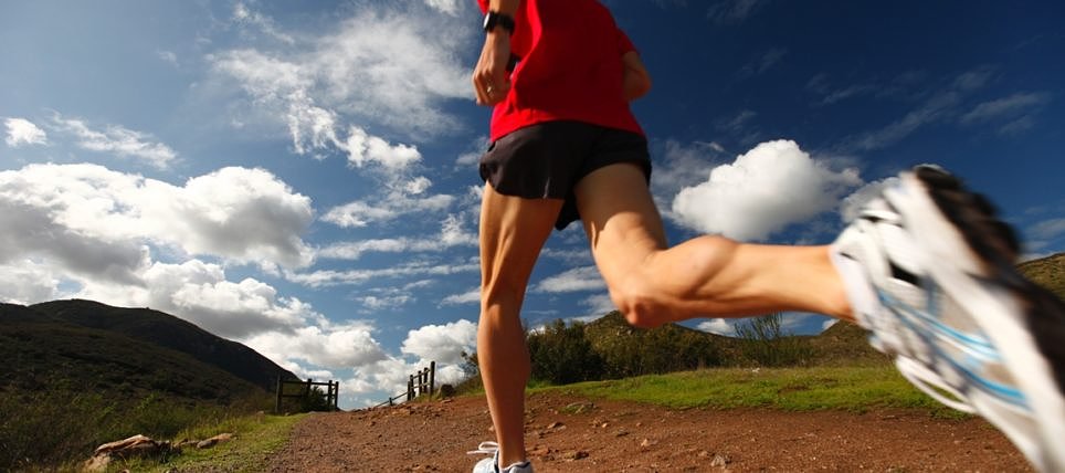 PLAN NA TYDZIEŃ 25-29 kwietnia